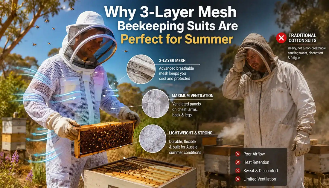 Why 3-Layer Mesh Beekeeping Suits Are Perfect for Summer