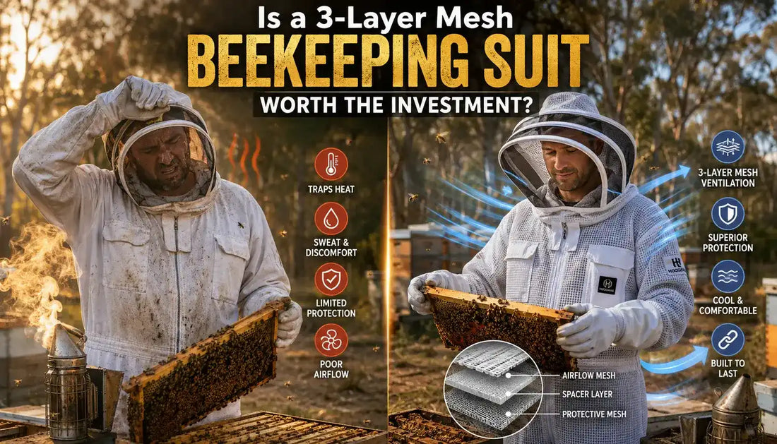Is a 3-Layer Mesh Beekeeping Suit Worth the Investment?