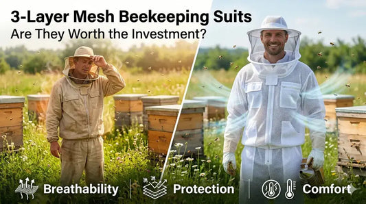3-Layer Mesh Beekeeping Suits: Are They Worth the Investment?