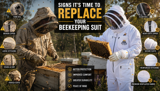 Signs It’s Time to Replace Your Beekeeping Suit