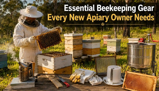 Essential Beekeeping Gear Every New Apiary Owner Needs
