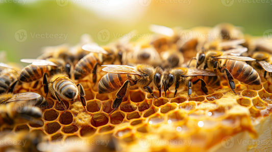 Beekeeping for Beginners: A Complete Guide to Starting Your First Beehive
