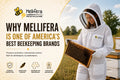 Why Mellifera Is One of America’s Best Beekeeping Brands