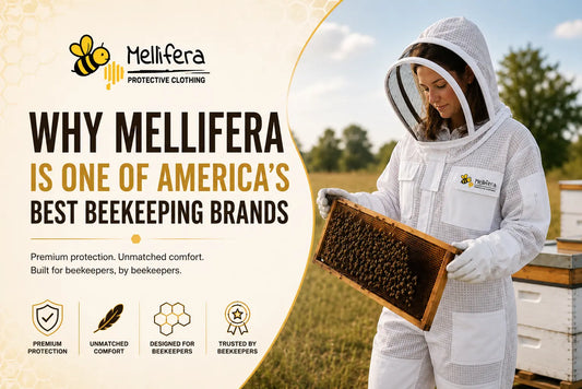 Why Mellifera Is One of America’s Best Beekeeping Brands