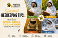 Seasonal Beekeeping Tips: What to Do in Spring, Summer, Fall, and Winter (Plus the Right Beekeeping Suit for Every Season)
