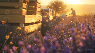 Top 10 Beekeeping Mistakes Beginners Make (And How to Avoid Them)