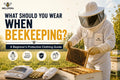 Beginner beekeeper wearing a full protective beekeeping suit with veil, gloves, and protective gear while working on a hive.